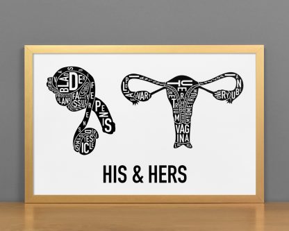 His & Hers Anatomy Diagram, Classic B&W, in Bronze Frame