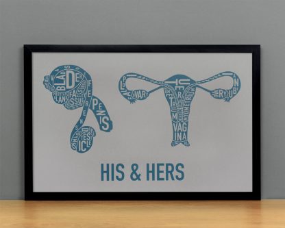 His & Hers Anatomy Diagram, Grey/Teal, in Black Frame