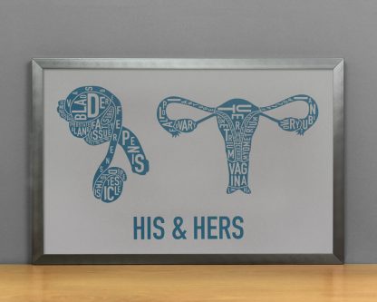 His & Hers Anatomy Diagram, Grey/Teal, in Steel Grey Frame