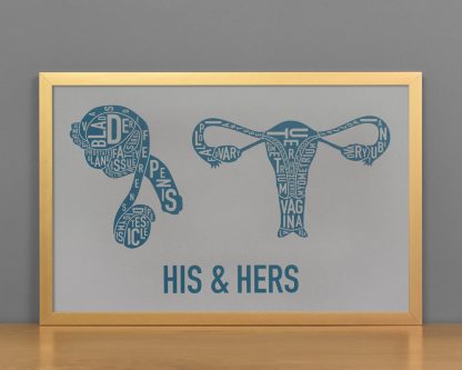 His & Hers Anatomy Diagram, Grey/Teal, in Bronze Frame