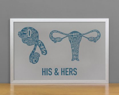 His & Hers Anatomy Diagram, Grey/Teal, in Silver Frame