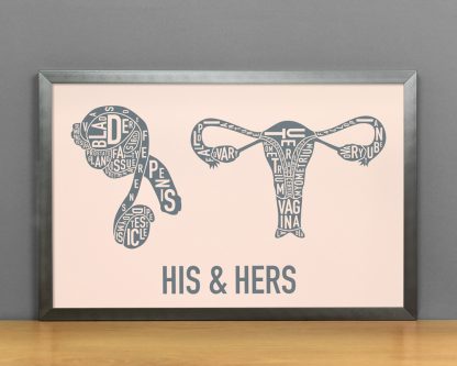 His & Hers Anatomy Diagram, Blush/Grey, in Steel Grey Frame