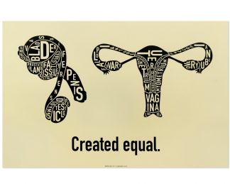Created Equal Male & Female Anatomy Diagram, Tan/Black