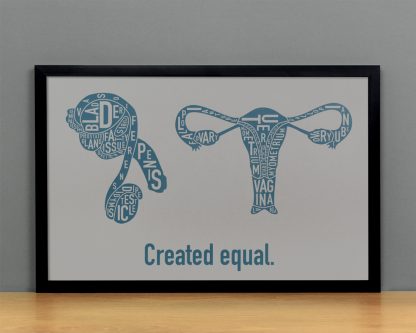 Created Equal Male & Female Anatomy Diagram, Grey/Teal, in Black Frame