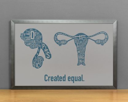 Created Equal Male & Female Anatomy Diagram, Grey/Teal, in Steel Grey Frame