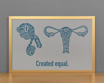 Created Equal Male & Female Anatomy Diagram, Grey/Teal, in Bronze Frame