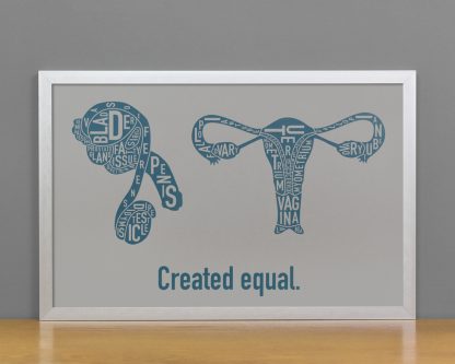 Created Equal Male & Female Anatomy Diagram, Grey/Teal, in Silver Frame