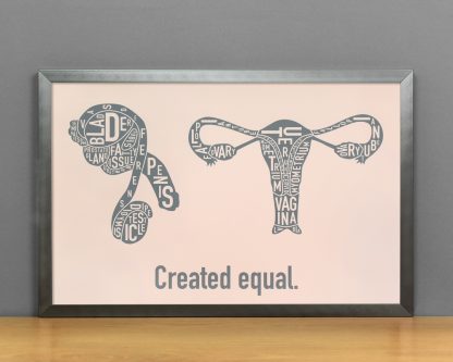 Created Equal Male & Female Anatomy Diagram, Blush/Grey, in Steel Grey Frame