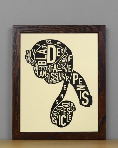 Framed Male Anatomy Typographic Mini Print, 8" x 10", Tan & Black in Dark Wood Frame
