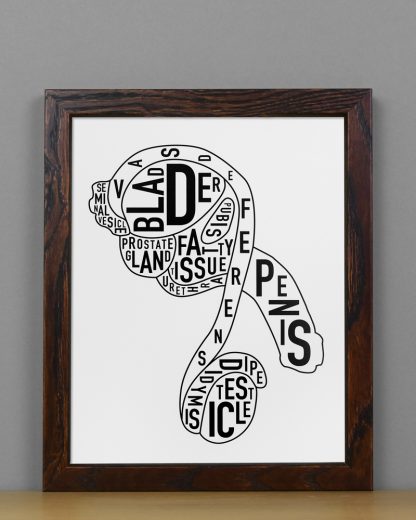 Framed Male Anatomy Typographic Mini Print, 8" x 10", B&W in Dark Wood Frame