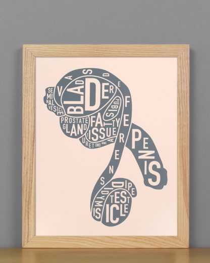 Framed Male Anatomy Typographic Mini Print, 8" x 10", Blush & Grey in Light Wood Frame
